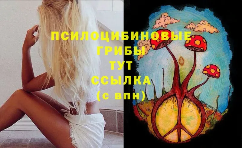 Псилоцибиновые грибы ЛСД  Анапа 